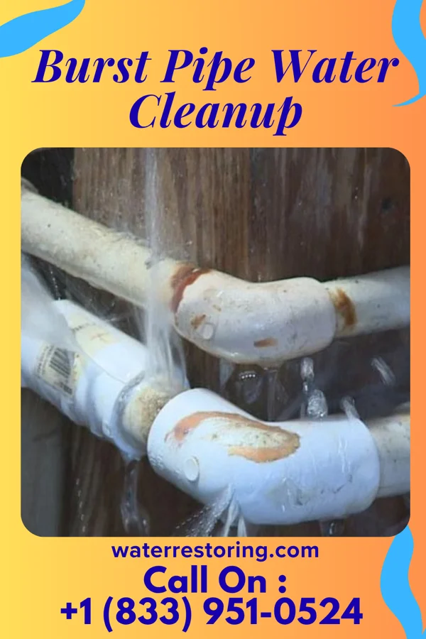 Burst Pipe Water Cleanup in Coplay, PA