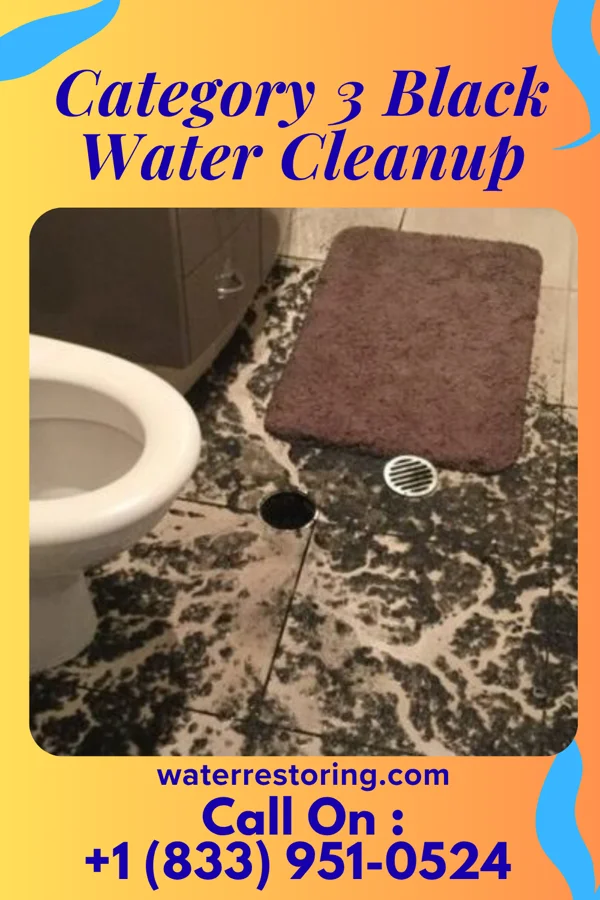 Category 3 Black Water Cleanup in Coplay, PA