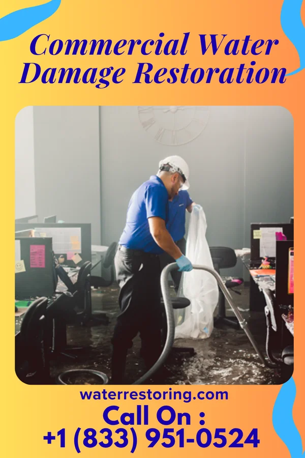 Commercial Water Damage Restoration in Coplay, PA