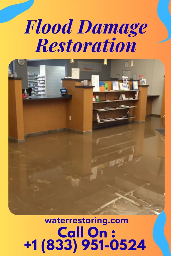Flood Damage Restoration in Coplay, PA