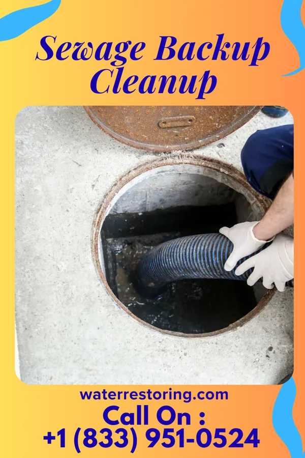 Sewage Backup Cleanup in Coplay, PA