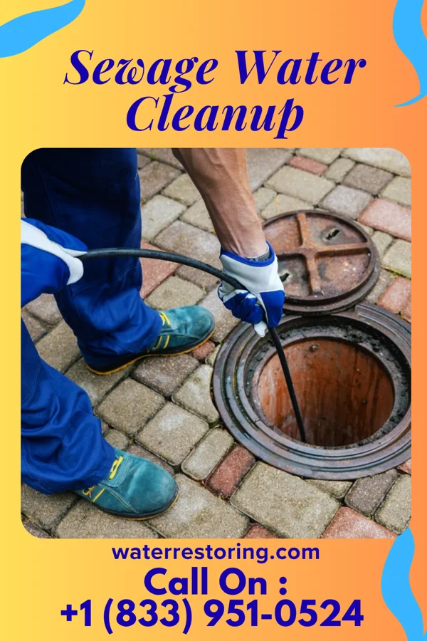 Sewage Water Cleanup in Coplay, PA