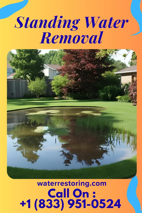 Standing Water Removal in Coplay, PA